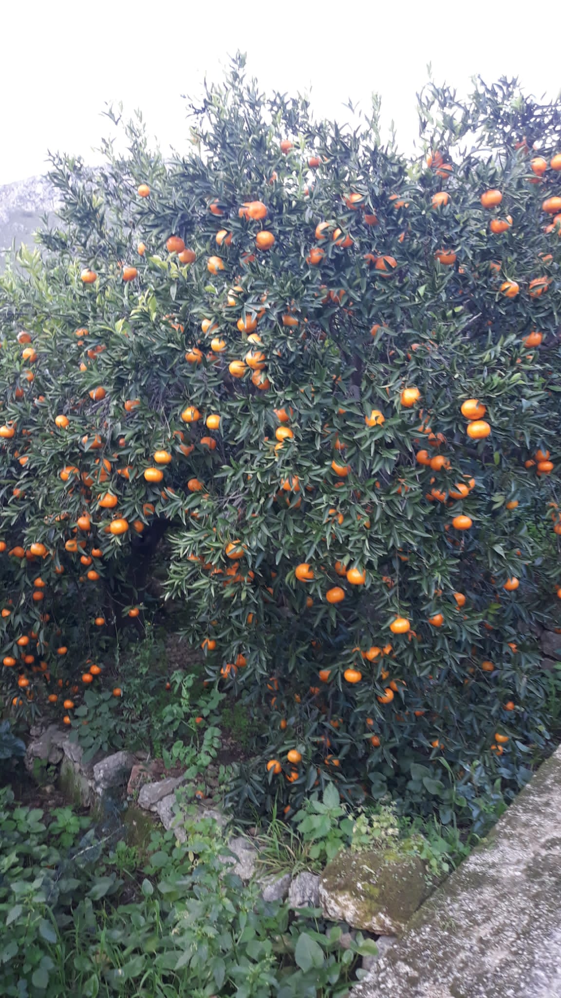 image01