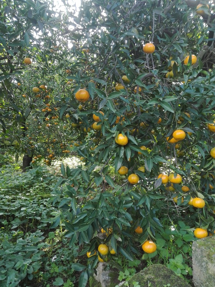 image03