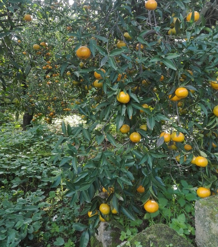image06