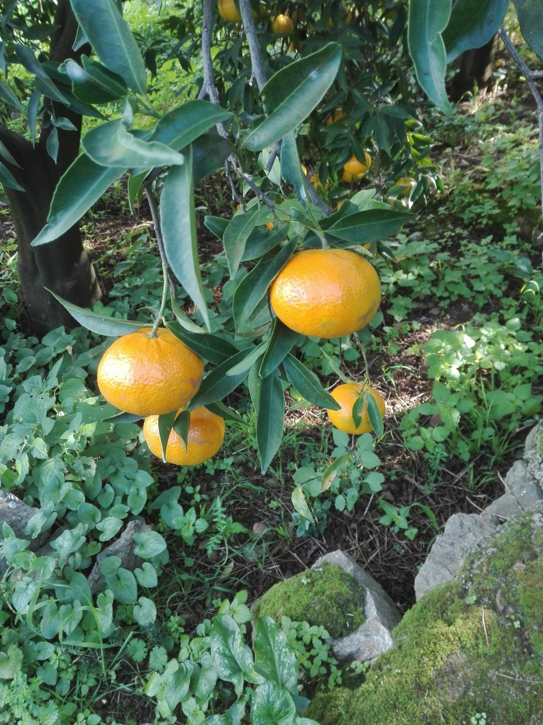 image04