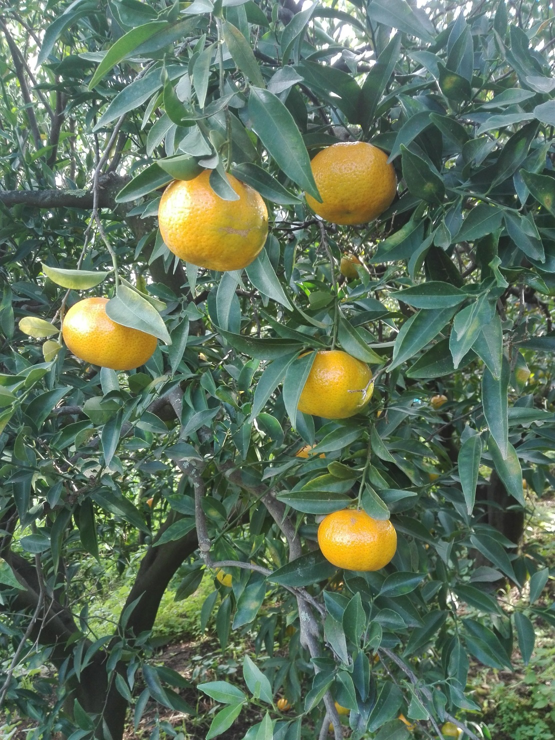 image05