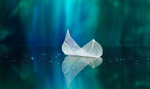 Foglia sull’acqua Foglia sull’acqua che rappresenta l’arte di pensare positivo per vivere meglio