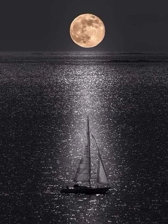 Notturno