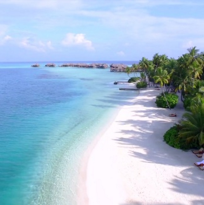 video: Maldive